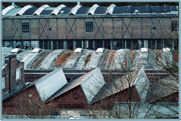 sheddächer