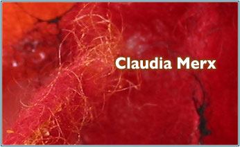 Intro Claudia Merx